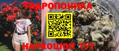 тгк Партизанск