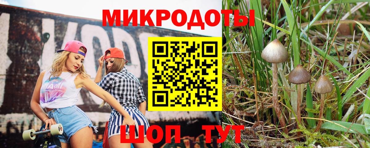 Галлюциногенные грибы ЛСД  Вход с VPN  цена   Ставрополь 