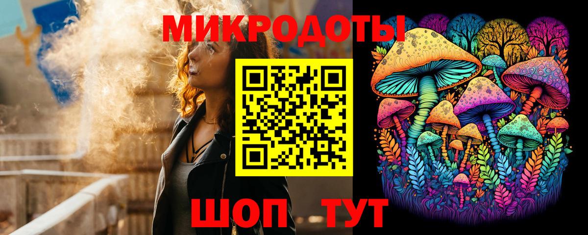 Псилоцибиновые грибы Cubensis Ставрополь